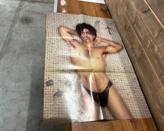 Prince "Controversy" Shower Poster Warner Brothers Promotional Poster