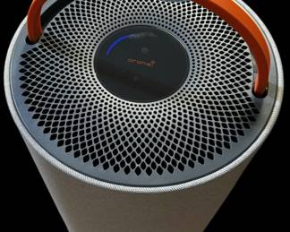 ORANSI HEPA Air Purifier 
