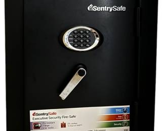 Digital SentrySafe 