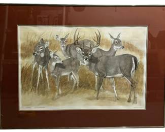 Whitetails Original Drawing Wall Art 