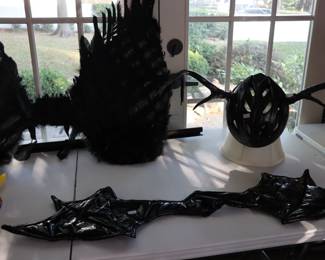 Handmade costumes on table in porch Sunroom, south side of house.