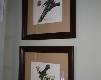 A pair of lovely, framed, Audubon prints. Upstairs on the landing.