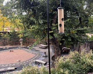 Bird Feeder