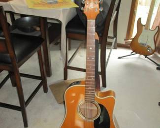 Takamine Acoustic guitar with case