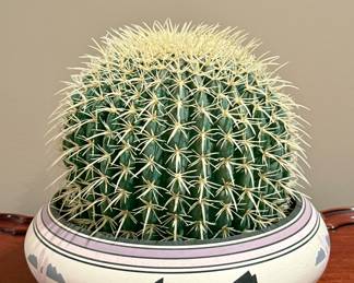 Southwestern Pottery with Faux Cactus