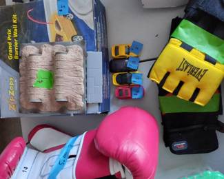 Zip zaps small electric car kit, boxing gloves