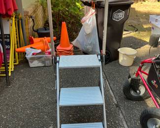 Little Giant ladder