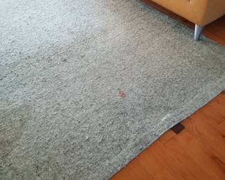 Area rug