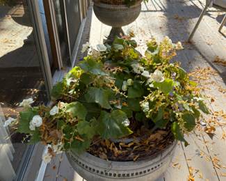 Pair of Large Flower Pots