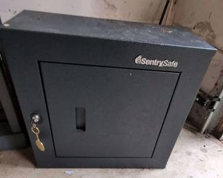  05 Sentry Gun Safe