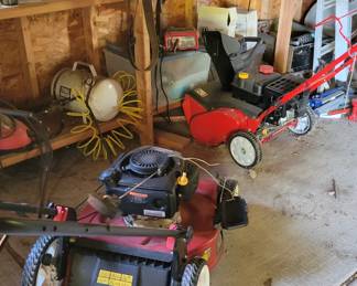 Mower and snow blower