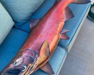 Stuffed trophy fish, not Nemo