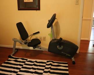 Universal R-25 Recumbent exercise bike