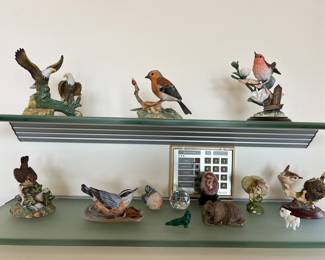 Birds