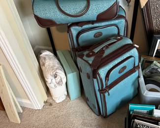 Reba leather turquoise luggage