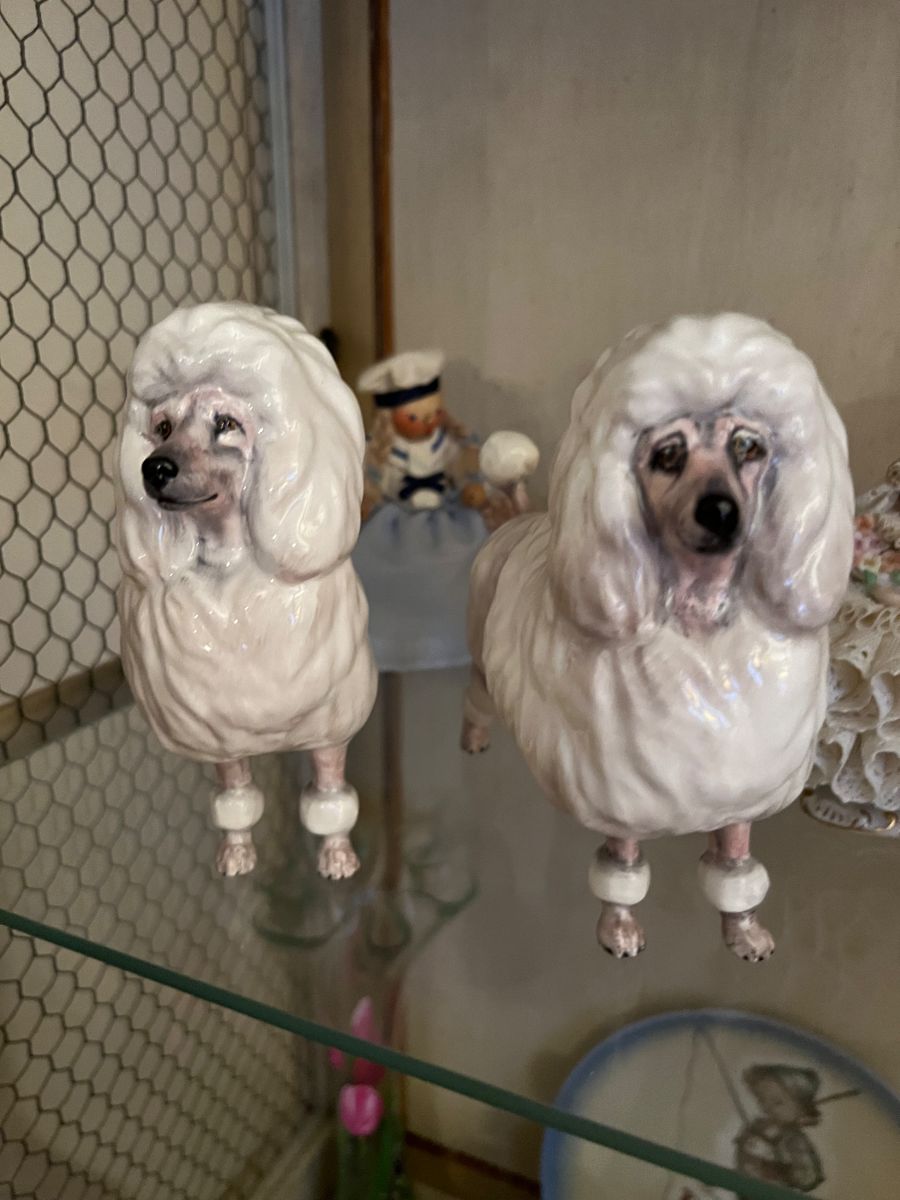 For the love of ELEPHANTS ! house is full to the starts on 10/25/2024