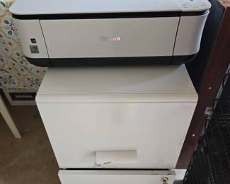 Printer - 2 Drawer File Cabinet 