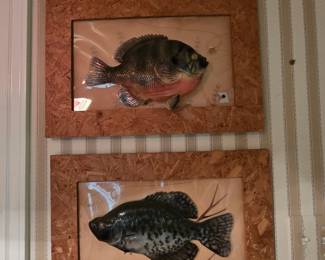 Fish Wall Decor