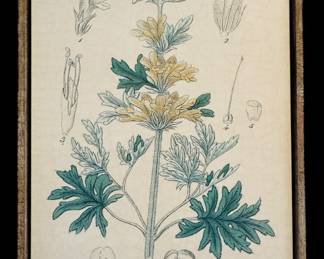 Botanical art