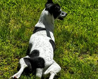 Relaxing after a hard day’s work