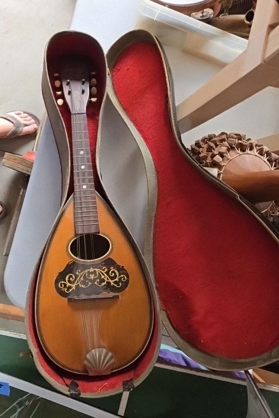 Mandolin