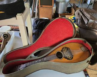 Mandolin