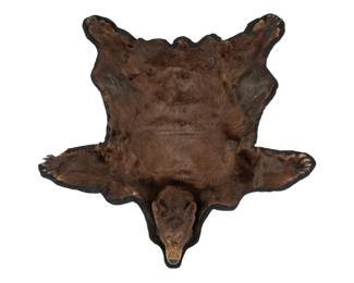 Taxidermy Brown Bear Rug with Head