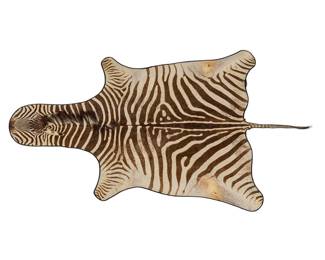 Zebra Hide Rug