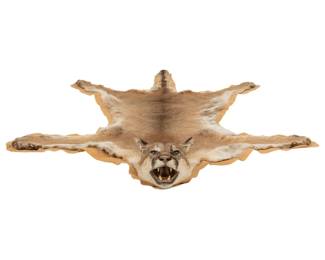 Mountain Lion Rug with Head