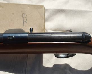 Remington 22 Model 550-1