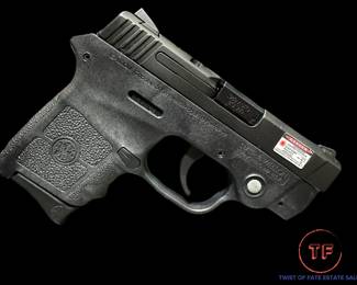 Smith & Wesson Bodyguard 380 (BG 380)