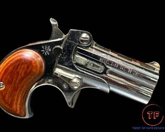 Davis Industries Model D22 .22LR Two-Shot Deringer