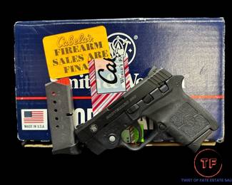 Smith & Wesson Bodyguard 380 (BG 380)