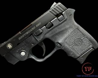 Smith & Wesson Bodyguard 380 (BG 380)