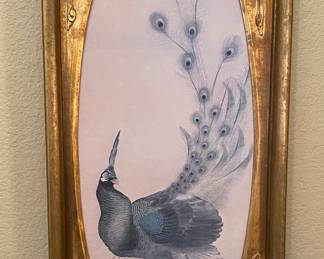 Unique and beautifully framed peacock art