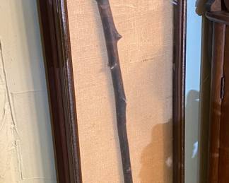 Framed Thorny Cane
