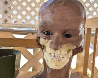 Original Lee Thomas signed - in time for Halloween decor!