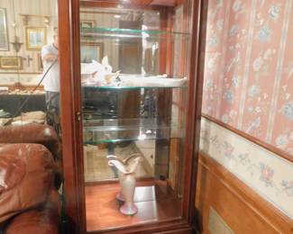 Jasper Cabinet Mahogany Lighted Curio Cabinet