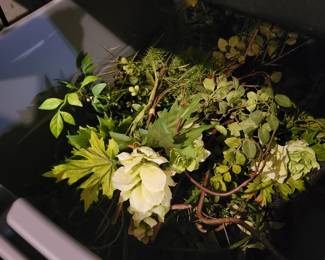 Boxes of floral pics