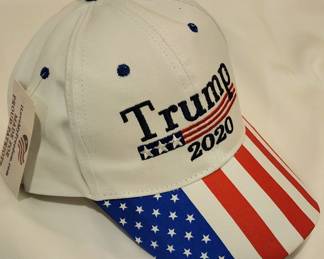 Trump 2020 Hat 