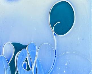 Ron Johnson 
My Shadow 