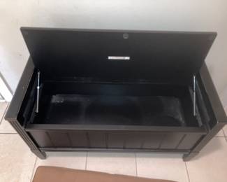 Storage bench with cushion on top