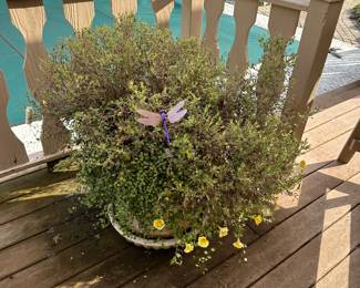 There are several of these large pots around the deck! Each is for sale, comes with all plants!