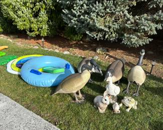 A gaggle of geese, ducks, bunny, frog and some REALLY nice pool toys!