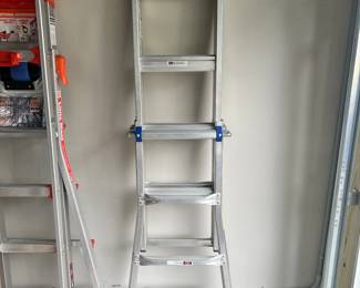 Werner ladder 