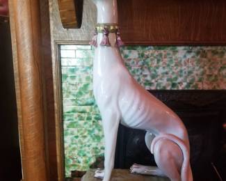 Old Italian whippet. 