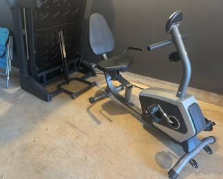 Sunny Easy Adjustable Seat Recumbent Exercise Bike SF-RB4616