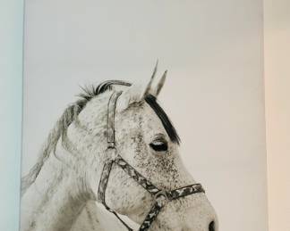 Horse Art