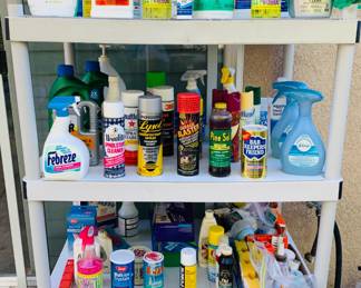 Misc. Cleaning Supplies 