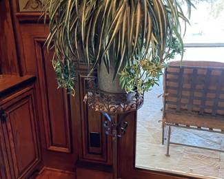 PLANTS AND PLANT STANDS